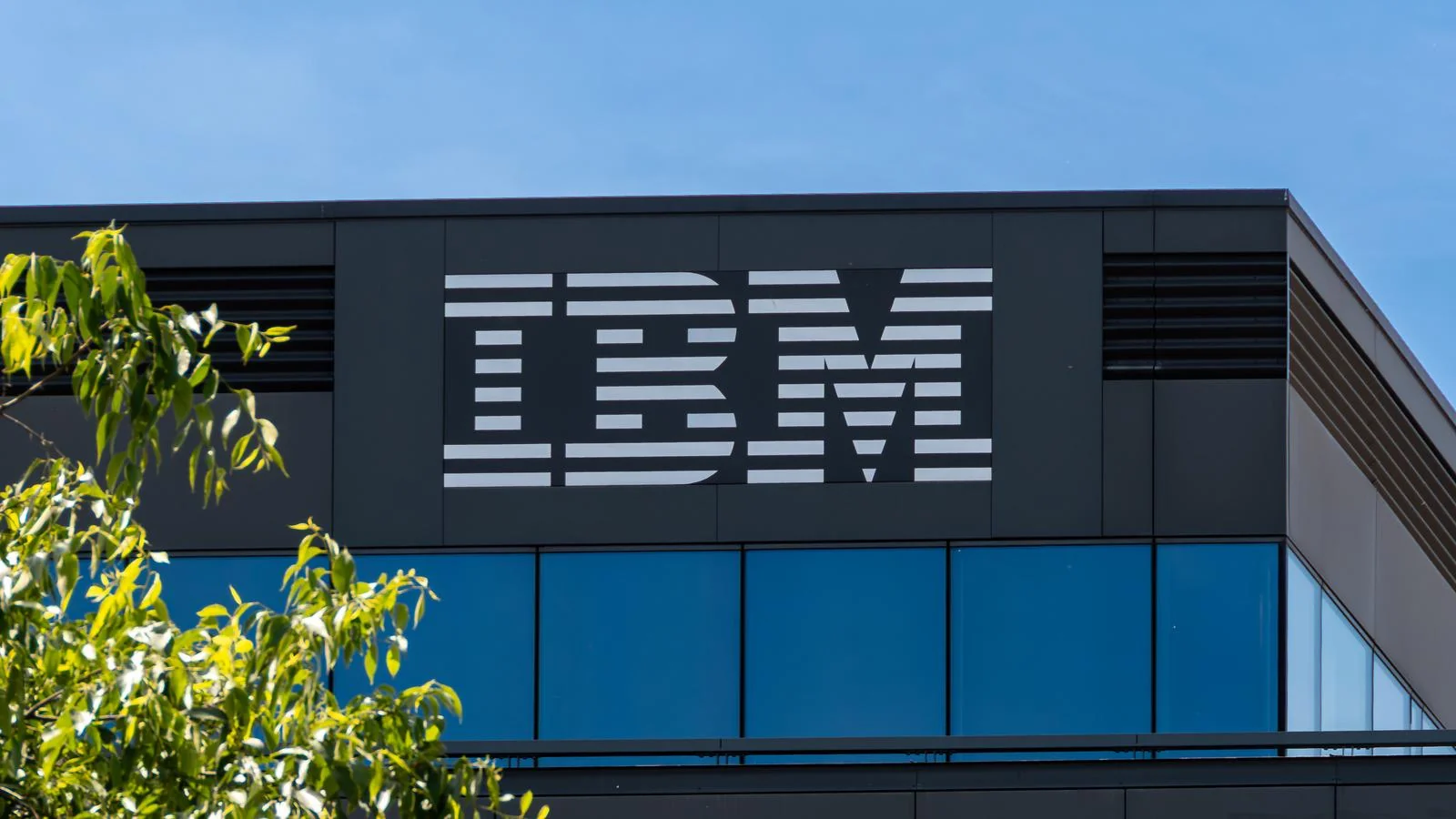 IBM Hiring